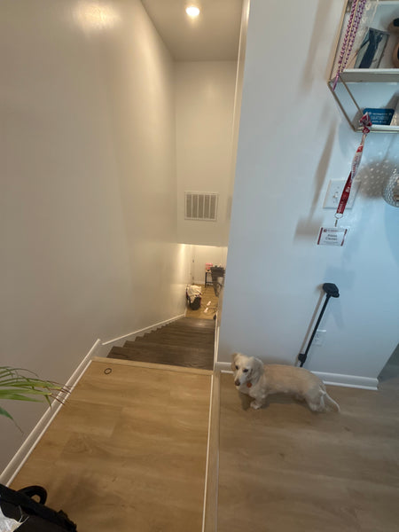 Bulky Sofa removal downstairs into garage
