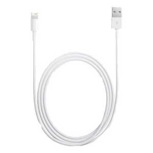 10FT USB iPhone Charging Cable